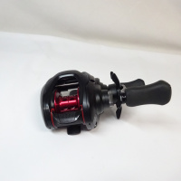 19タトゥーラTW 100SH